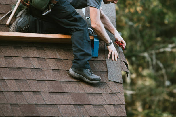 Best Storm Damage Roof Repair  in Campton Hls, IL