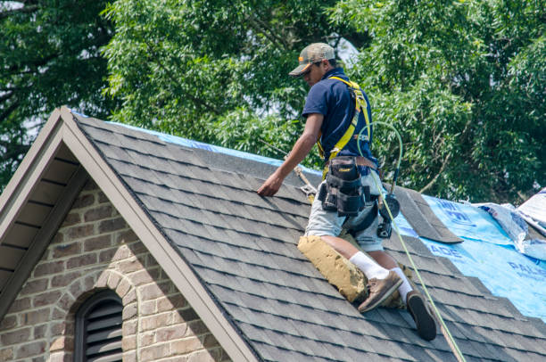 Best Roof Waterproofing Services  in Campton Hls, IL